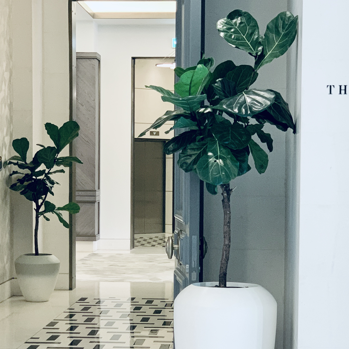 The Address Hotels and Resorts